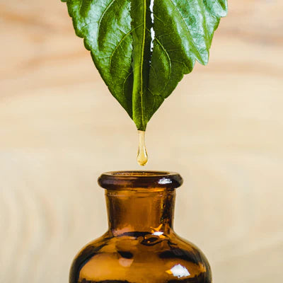 Essential Oils